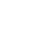 icons8-garanzia-100