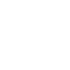 icons8-memoria-100